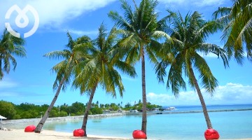 Photo img/card/card_CEB.jpg