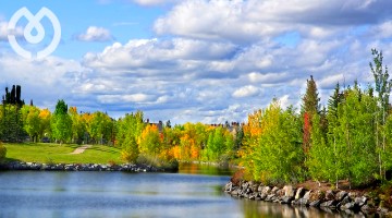 Photo img/card/card_YYC.jpg